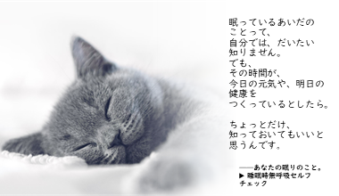 睡眠ガイド